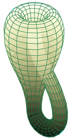 2040496-240px-Klein bottle.svg.png