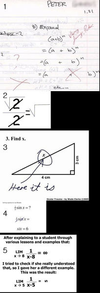 파일:3351493-add 746650536ae905d7f34022c7b330e5bc1.jpg